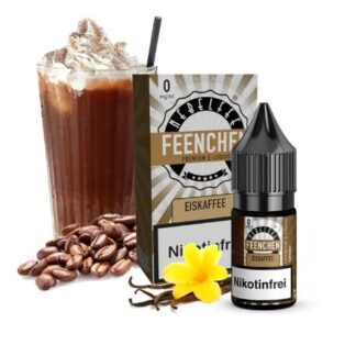Nebelfee Nikotinsalz Liquid 10ml Eiskaffee 0mg